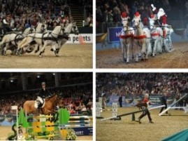 2013 Olympia International Horse Show