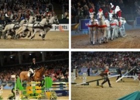 2013 Olympia International Horse Show