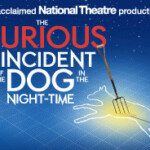 The Curious Incident of the Dog in the Night-Time
