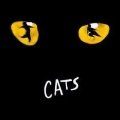 Cats Theatre Breaks London Theatre Breaks