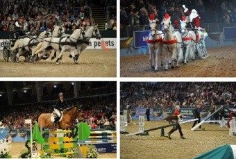 Olympia International Horse Show 2022 London Theatre Breaks