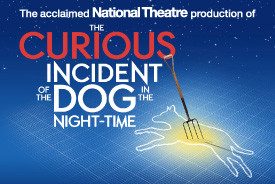 The Curious Incident of the Dog in the Night-Time