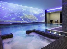 Four Star London Hotels with Swimming Pools London Theatre Breaks