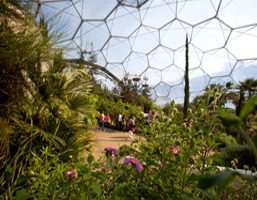 eden project