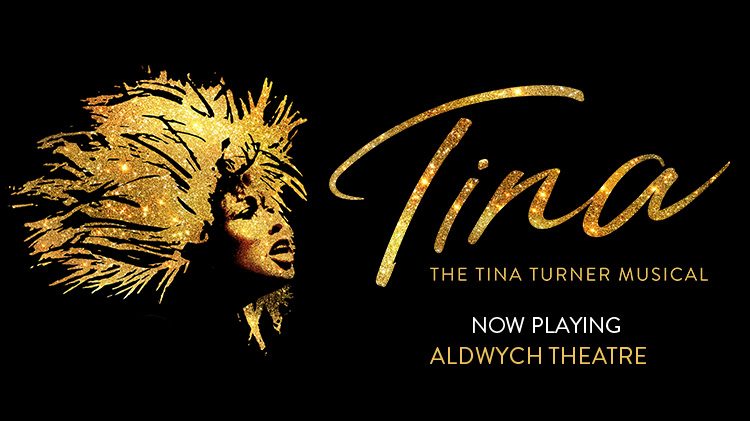 Tina Turner musical theatre breaks poster