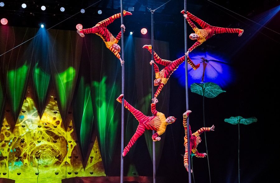 OVO By Cirque Du Soleil London Theatre Breaks