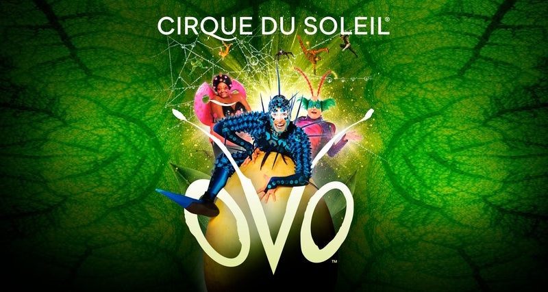 Cirque du soleil OVO and hotel packages from Theatre Breaks